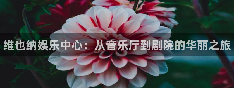 开丰娱乐168