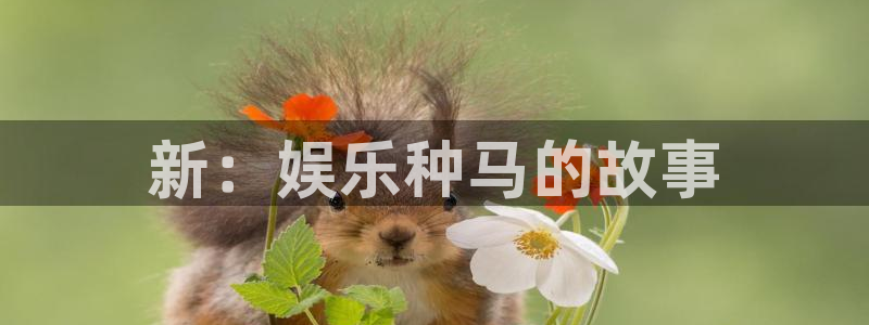 开丰娱乐地址