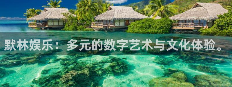 开丰娱乐