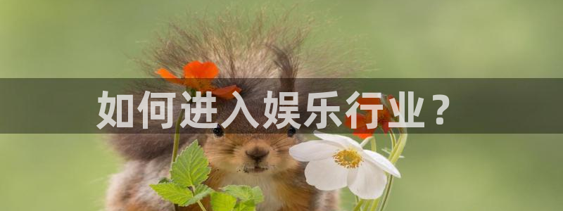 开丰娱乐168
