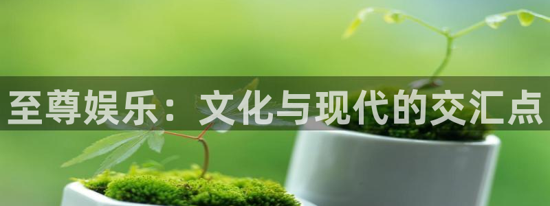 开丰娱乐