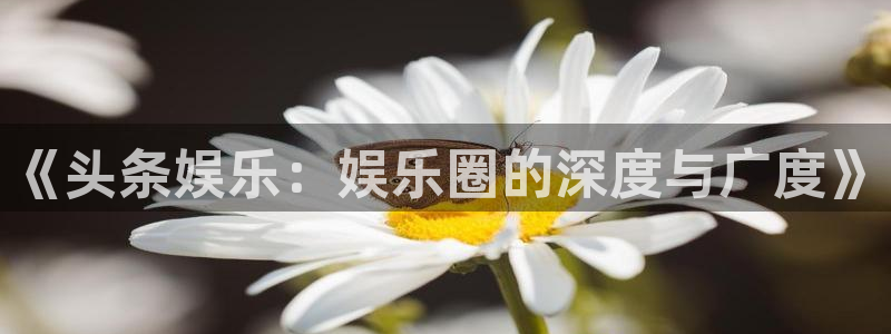 开丰娱乐168